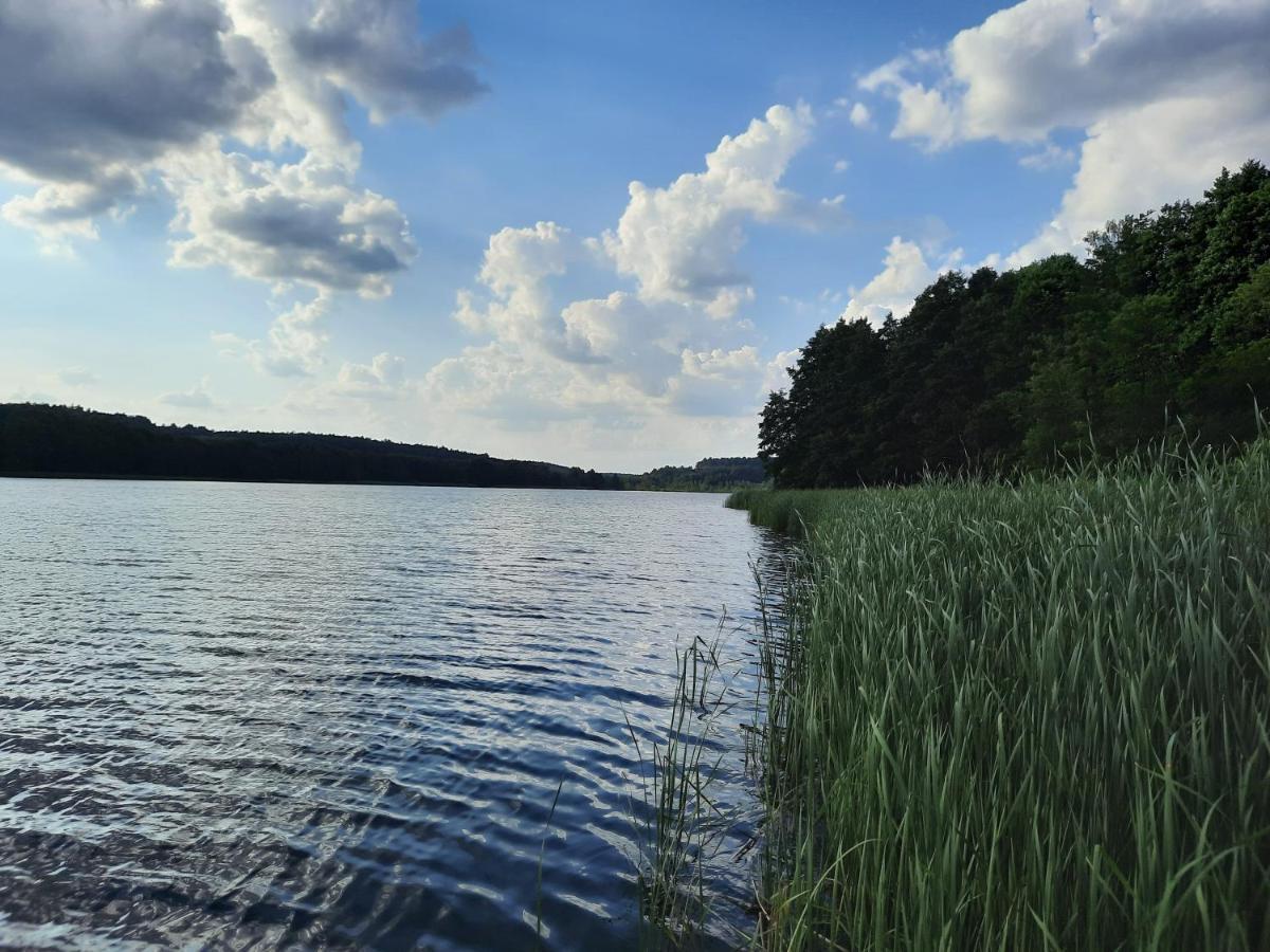 Lake View Apartamenty Brodnica (Kuyavian-Pomeranian) Exterior foto