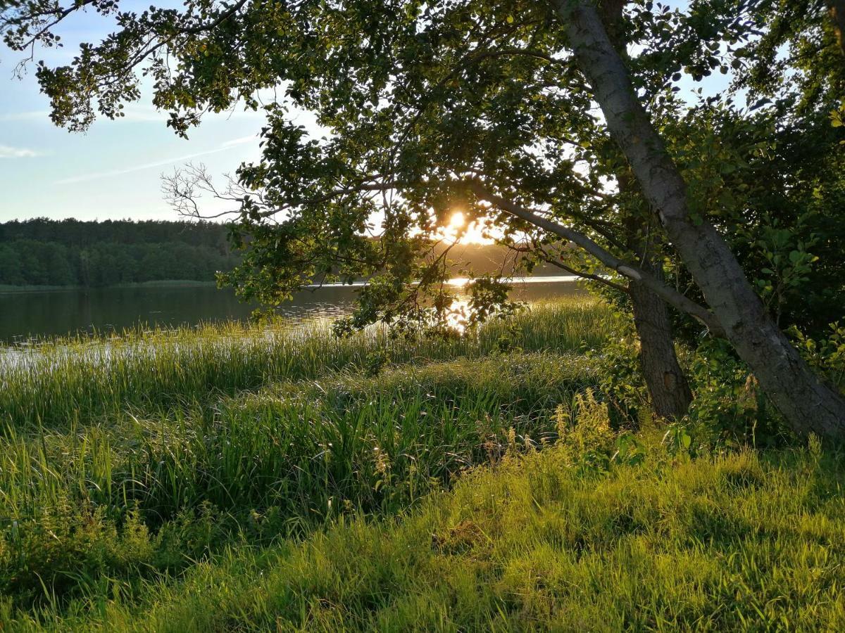 Lake View Apartamenty Brodnica (Kuyavian-Pomeranian) Exterior foto